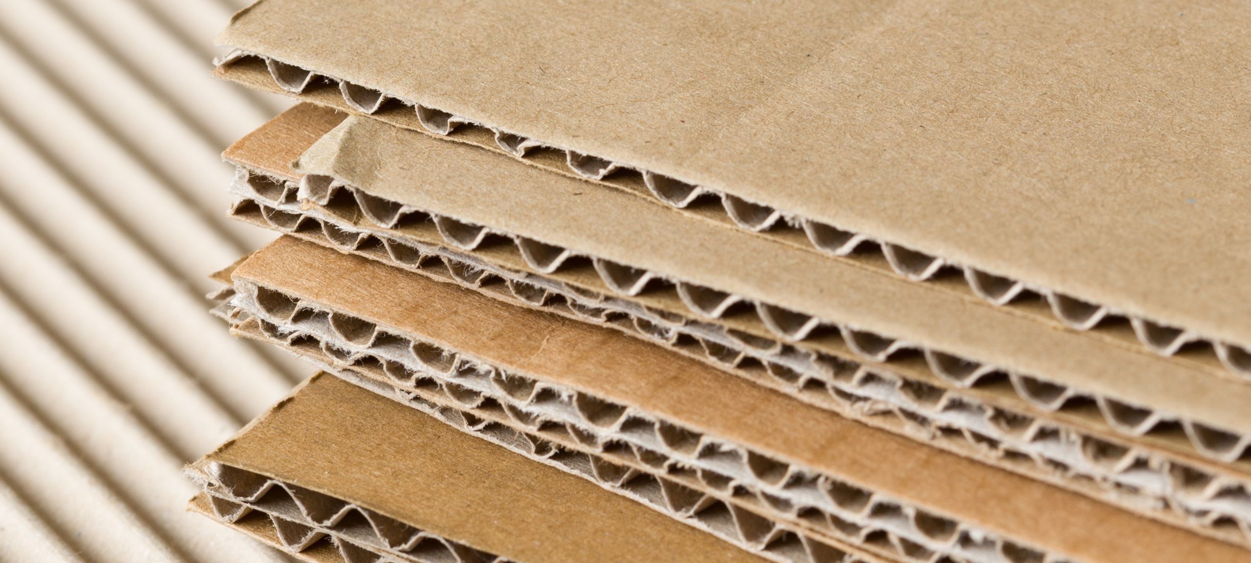 cardboard